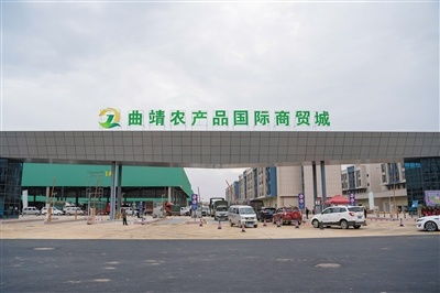 曲靖最大蔬菜交易市場開業蔬菜品質好價格優