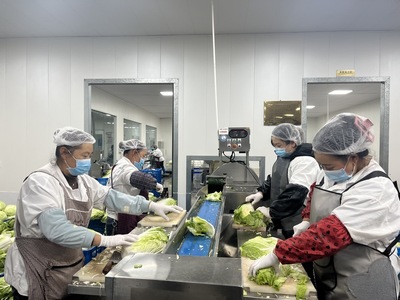 把新鮮蔬菜放入加工設(shè)備內(nèi)進(jìn)行清洗、切配等作業(yè)。